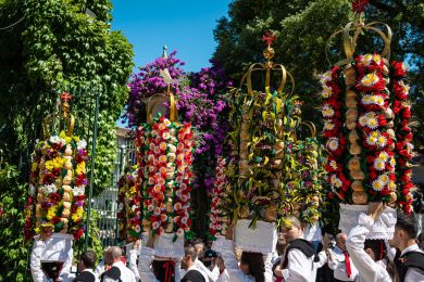 Santarém: Festa dos Tabuleiros exprime «arte, simplicidade e beleza» – D. José Traquina
