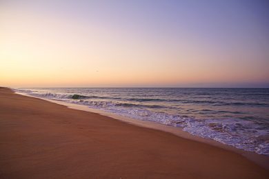 JMJ 2023: 800 jovens vão realizar ação de sensibilização e proteção ambiental na praia e ruas de Faro