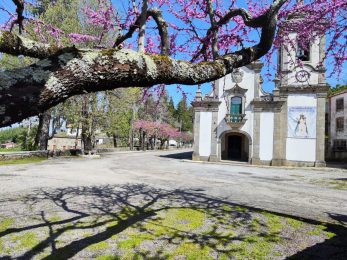 Património: Santuário mariano «mais antigo» das Beiras assume desafio de «revitalizar» espaço