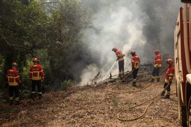 Portugal: Confederação do Voluntariado elogia disponibilidade dos bombeiros