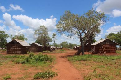 Moçambique: Cáritas Portuguesa aprova envio de «apoio de emergência» de 10 mil euros para apoiar população em Cabo Delgado