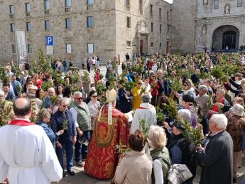 Semana Santa: Páscoa «é um grito de esperança» perante «injustiças, guerra, violência e morte», afirma o bispo de Viseu