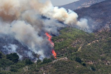 Funchal: Diocese solidária com populações e com quem combate incêndios