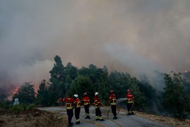 Incêndios: Arcebispo de Braga manifesta solidariedade a todos os que estão a sofrer com «calamidade»