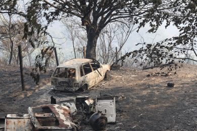 Incêndios: Cáritas Portuguesa oferece apoio imediato e de «longo prazo», em articulação com agentes no terreno (c/vídeo)