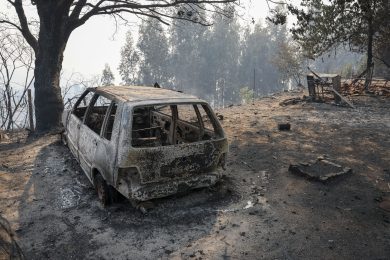 Incêndios: Arquidiocese de Évora coloca-se «ao serviço de todos os que sofrem e trabalham»