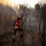 Incêndios: Dia de Luto Nacional «reforça sentimento de comunhão, de unidade, de todos os portugueses» - Cardeal D. Américo Aguiar