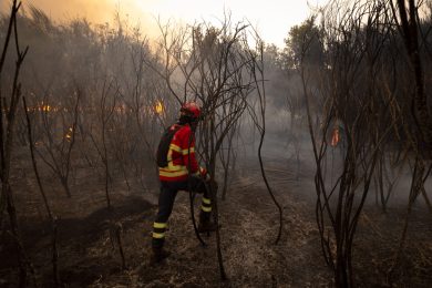 Incêndios: Dia de Luto Nacional «reforça sentimento de comunhão, de unidade, de todos os portugueses» - Cardeal D. Américo Aguiar