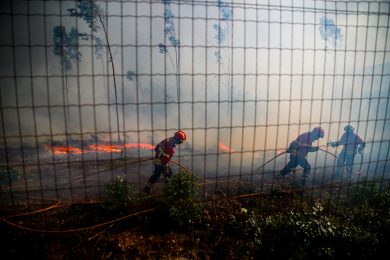 Incêndios: Bispo de Viseu agradece a quem combate «flagelo» no terreno