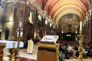 Lisboa: «A santidade não te torna menos humano», afirma patriarca, na ‘Noite de todos os campos’