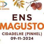 Guarda: Equipas de Nossa Senhora promovem magusto