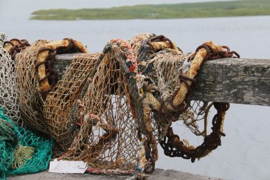 Dia Mundial da Pesca: Vaticano pede proteção para pequenos negócios