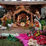 Bragança-Miranda: «Aprendamos dos Magos e do Menino a cultivar a coragem e a semear a esperança», afirma bispo