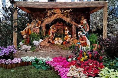 Bragança-Miranda: «Aprendamos dos Magos e do Menino a cultivar a coragem e a semear a esperança», afirma bispo