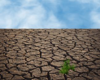 Igreja/Desenvolvimento: 10 anos depois, «Laudato si» é responsável por «abertura de horizonte extraordinária», diz Susana Réfega