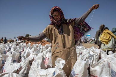 Solidariedade: Cáritas lamenta «onda de cortes» na ajuda humanitária internacional