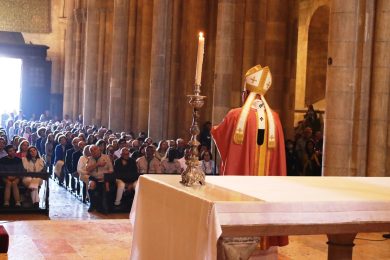 Lisboa: Patriarca nomeou 274 novos Ministros Extraordinários da Comunhão
