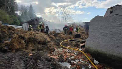 Solidariedade: Associação de Antigos Alunos da Escola Apostólica de Cristo Rei promove campanha para recuperar espaços atingidos por incêndio no Seminário de Gouveia