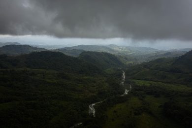 Igreja/Ecologia: Bispos católicos pedem que «pacote Omnibus» mantenha compromissos sociais e ambientais da União Europeia