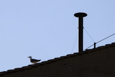 Conclave 2025: Cardeais retomam votações