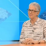 Media: Leão XIV conta com os jornalistas «para que a paz se estabeleça verdadeiramente» - Aura Miguel