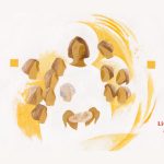 Liturgia viva da Igreja