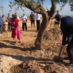 Parque Papa Francisco: Plantada a primeira de mais de 25 mil árvores para reduzir a pegada carbónica rumo ao Jubileu dos Jovens