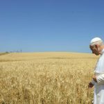 Igreja/Ambiente: Papa criou Fundação «Irmão Sol» para construção de uma central agrovoltaica