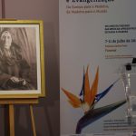 Educação/Madeira: Irmãs da Apresentação de Maria foram «empreendedoras sociais», diz historiador
