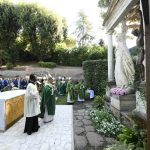 Igreja/Ecologia: Papa lamenta falta de empenho de setores católicos na defesa do ambiente