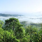 COP30: Bispos da África, América Latina e Ásia lançam apelo conjunto contra «falsas soluções» para a crise climática