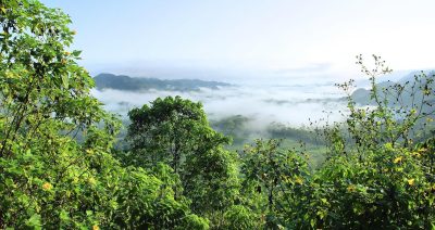 COP30: Bispos da África, América Latina e Ásia lançam apelo conjunto contra «falsas soluções» para a crise climática
