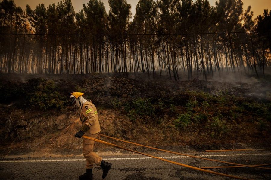 Incêndios: Bispo da Guarda manifesta proximidade a bombeiros feridos e populações ameaçadas