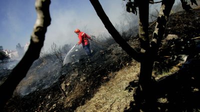 Évora: Arcebispo deixa mensagem de solidariedade a população atingida por incêndio no Alandroal