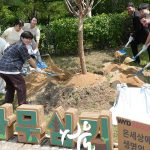 JMJ 2027: Organização local e Dicastério para os Leigos, Família e Vida plantaram uma árvore em Seul