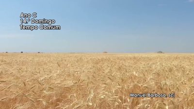 Ano C – 14.º Domingo do Tempo Comum