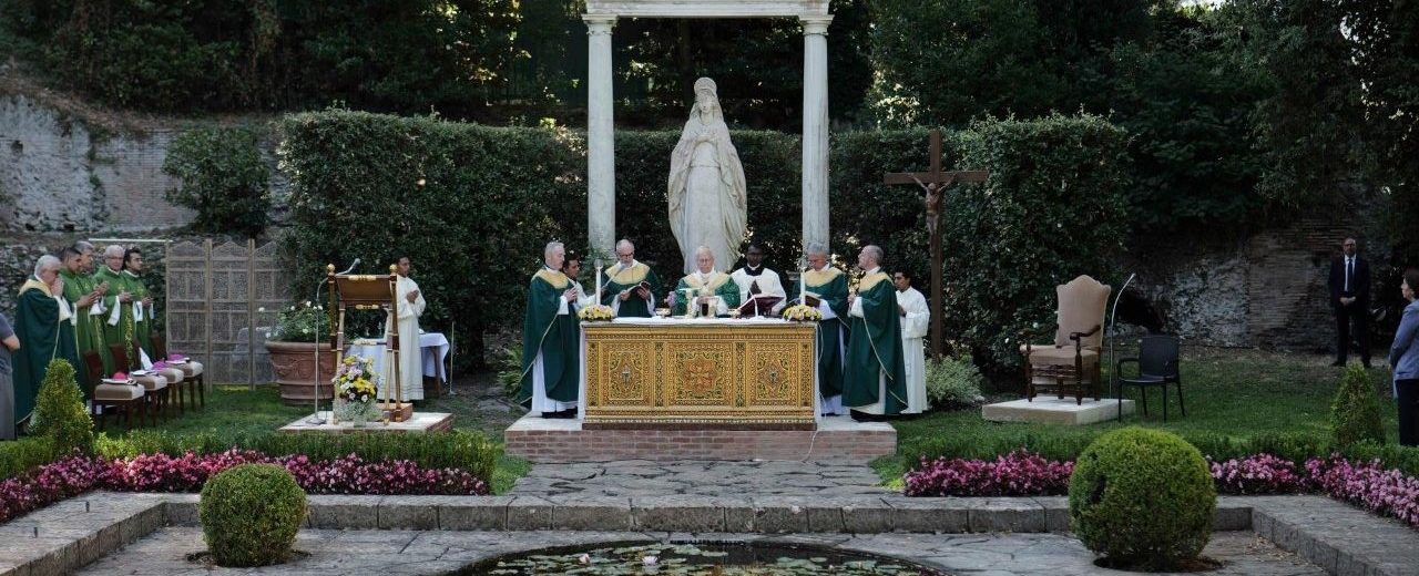 Igreja/Ecologia: Papa lamenta falta de empenho de setores católicos na defesa do ambiente