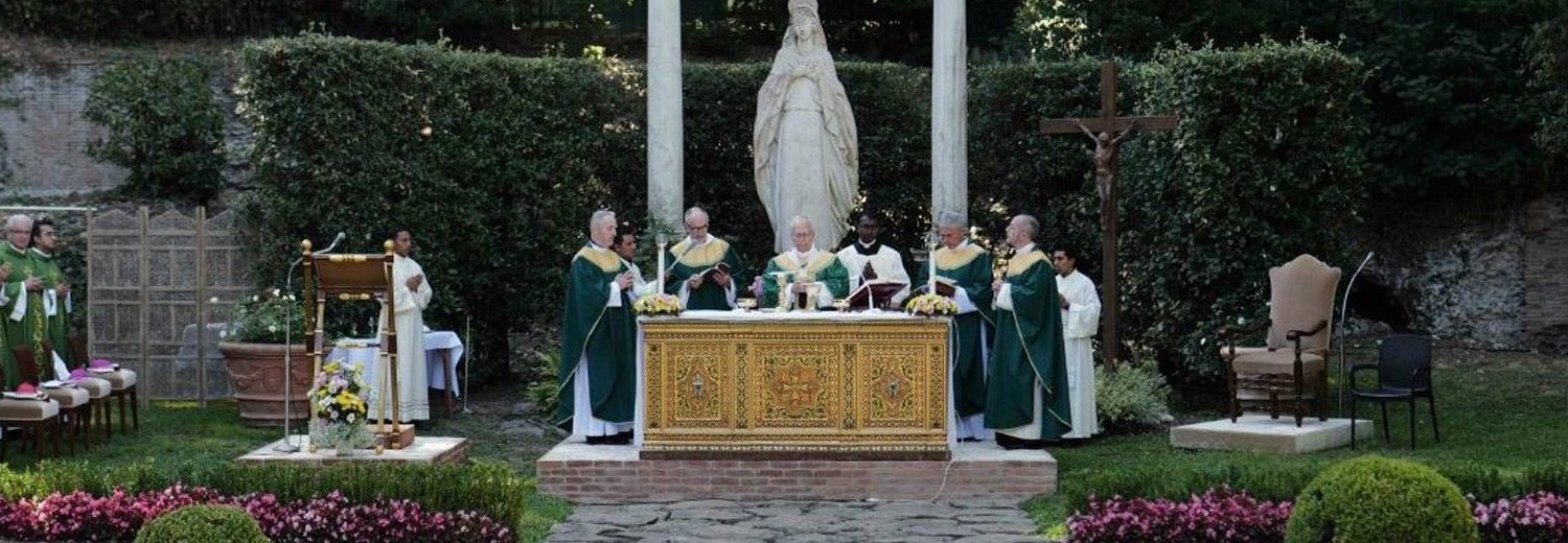 Igreja/Ecologia: Papa lamenta falta de empenho de setores católicos na defesa do ambiente