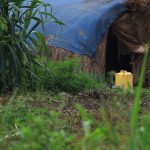 RD Congo: Cáritas condena ataques contra comunidades católicas