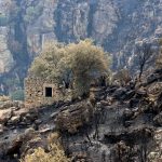 Incêndios: «Não podemos ficar quietos, tranquilos e calados», afirma bispo de Lamego