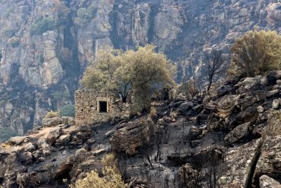 Incêndios: «Não podemos ficar quietos, tranquilos e calados», afirma bispo de Lamego