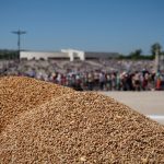 Fátima: Peregrinação de agosto marcada pela presença migrantes e pela oferta de trigo
