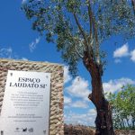 Coimbra: Unidade Pastoral de Santo António dos Olivais dinamiza iniciativas no «Tempo da Criação»