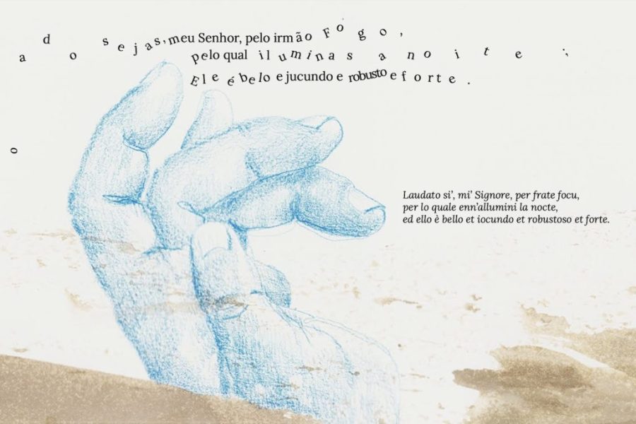 Cântico das Criaturas: Poema é «contraponto ao ‘multiplicai-vos e dominai a terra’», afirma frei Isidro Lamelas