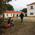 Laudato Si: Documento de Francisco confirmou associações, deu origens a movimentos, e está presente na educação