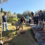 Igreja/Ecologia: Jovens portugueses plantaram árvore em Castel Gandolfo, prosseguindo compromisso assumido na JMJ 2023