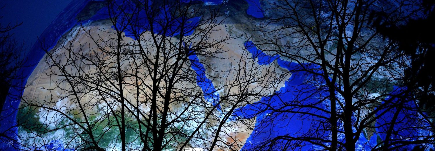 COP30: «Se quiser cultivar a paz, cuide da criação», afirma Leão XIV