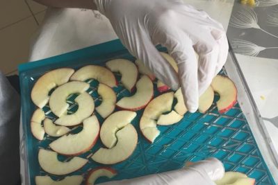 Solidariedade: Refeitório Rosália Rendu celebra 20 anos de missão