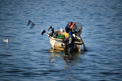 Santa Sé:  Leão XIV institui Apostolado do Mar para coordenar pastoral do setor