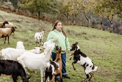 Ambiente: Rebanho comunitário para prevenir incêndios e única maternidade de árvores do país marcam aldeia de Aigra Nova